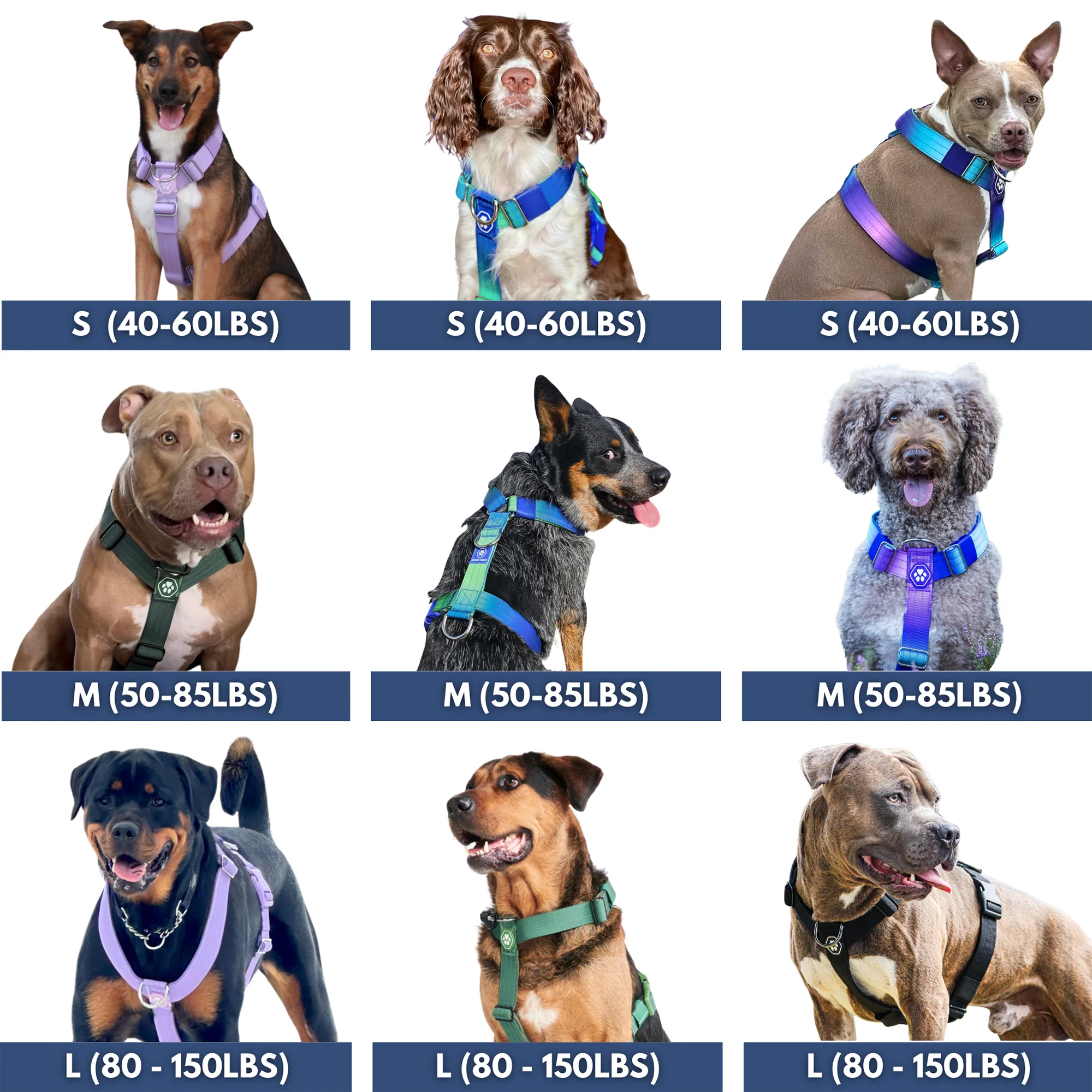 Comfort Control No-Pull Dog Harnesses - Image 6